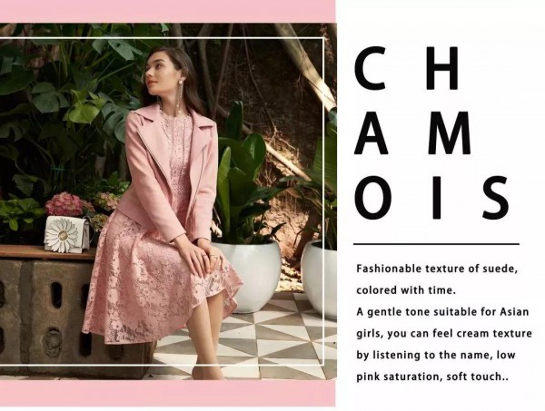 麂皮绒搭配 演绎着时尚的格调与优雅的气质