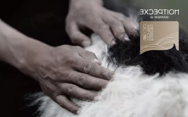 活动丨行业赋能企业,工艺赋能美学