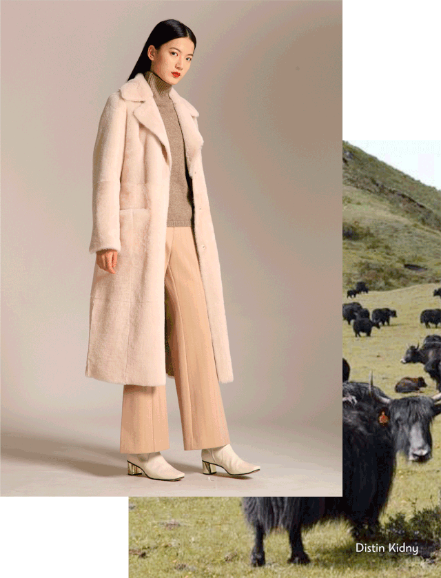 牦牛绒女装温暖你一整个冬季 迪凯艺术女装2019秋冬女装上新