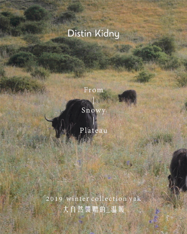 牦牛绒女装温暖你一整个冬季 迪凯艺术女装2019秋冬女装上新