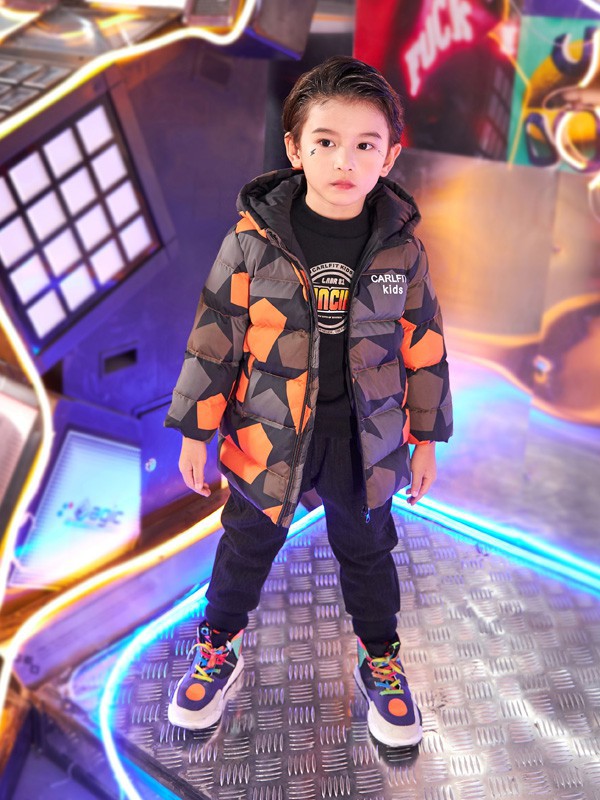 卡儿菲特-carlfit