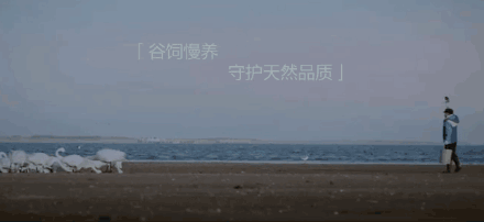 羽绒服怕雨雪吗 卡蔓2019冬日新款羽绒服