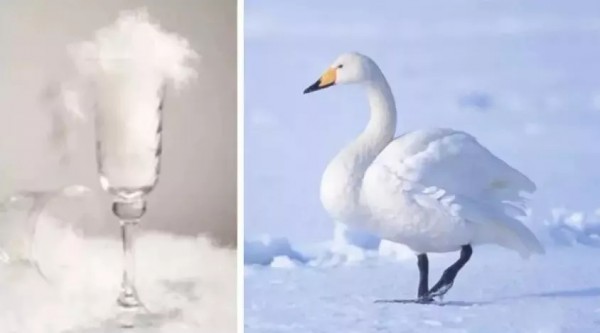 羽绒服怕雨雪吗 卡蔓2019冬日新款羽绒服