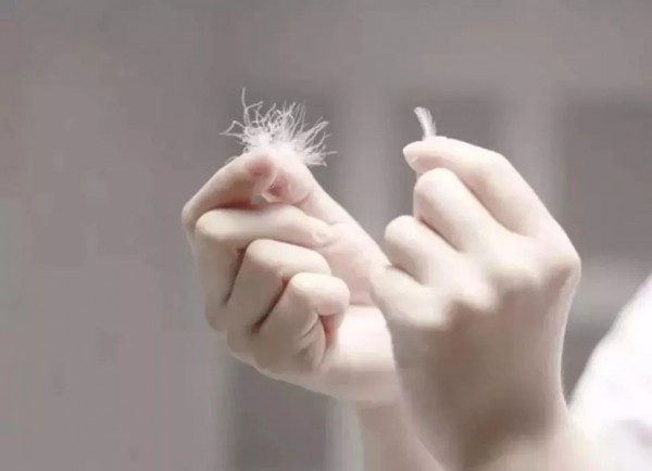 羽绒服怕雨雪吗 卡蔓2019冬日新款羽绒服