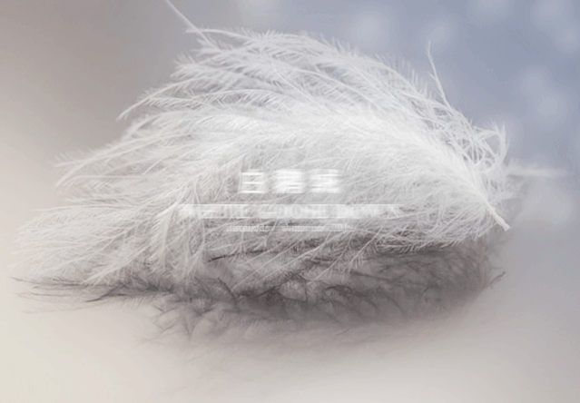 今年冬天穿什么保暖又轻便  迪凯艺术白鹅绒外套