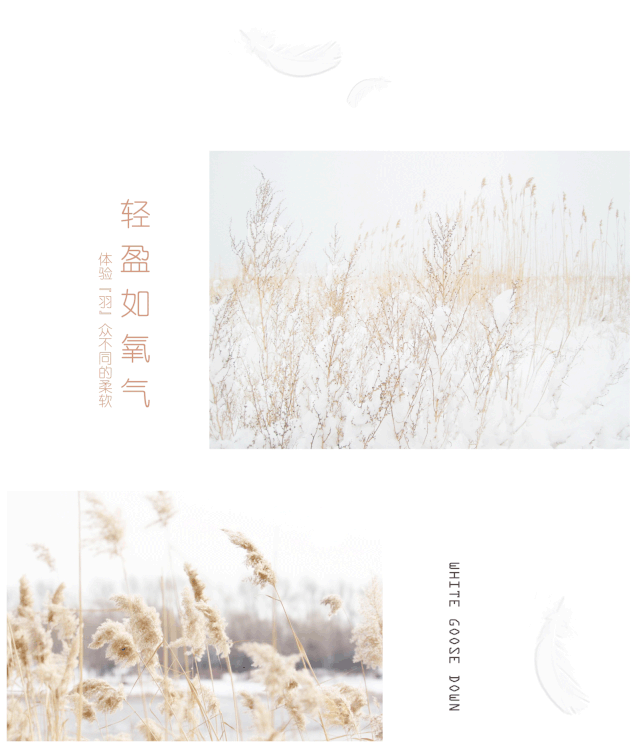 今年冬天穿什么保暖又轻便  迪凯艺术白鹅绒外套