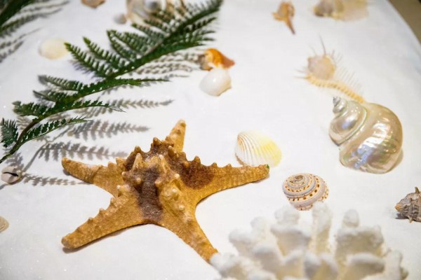 Ocean Flame强势登陆深圳万象天地&海雅缤纷城