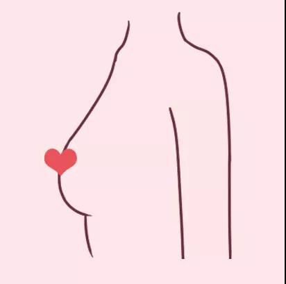 你知道自己是什么胸型嘛 快来对号入座