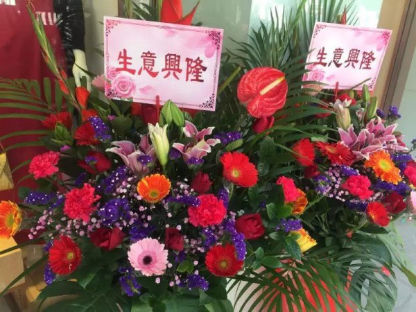 柏盈女装长平新店元旦佳节隆重开业