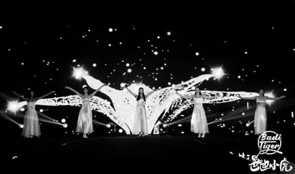 热烈祝贺巴迪小虎集团10周年庆暨2020新品发布会取得圆满成功!