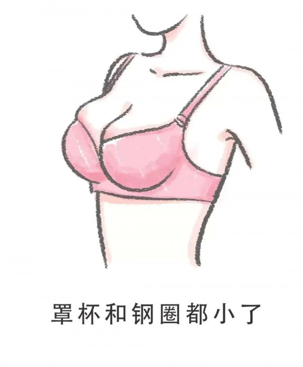 美思