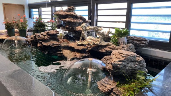 优韩总部乔迁 中国·虎门青创大厦全新征程,全力起航