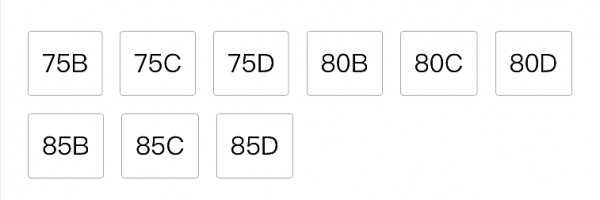 背上赘肉多怎么办 上身胖适合买什么款式内衣