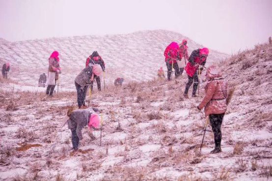 全国持续降温 波司登再伸援手为“寒风中的英雄”送上温暖羽绒服