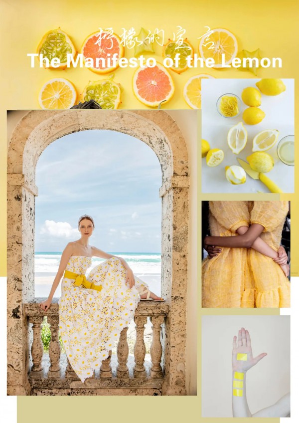 布卡慕尚 - CLOTHCARD&MS