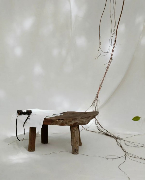 Edition 2021春季大片 雨林漫步