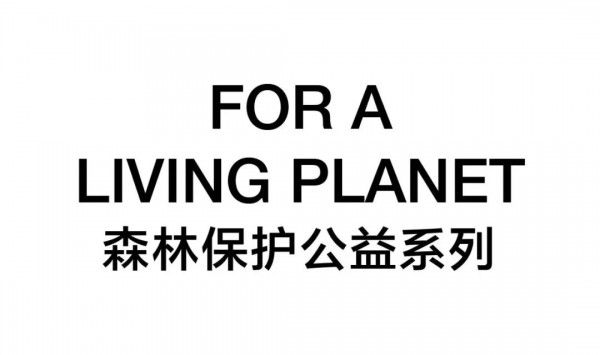 Edition 2021春季大片 雨林漫步