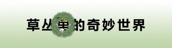 ULLU优露童装冬日的奇妙探险之旅