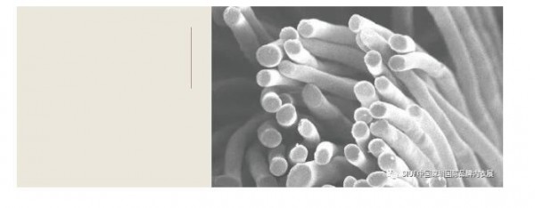 供应商|全世界上唯一生产铜氨纤维的厂家日本旭化成将参展2021SIUF深圳内衣展
