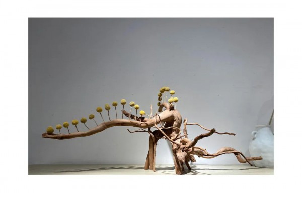 SUPIN速品多店盛大开业 全新绽放