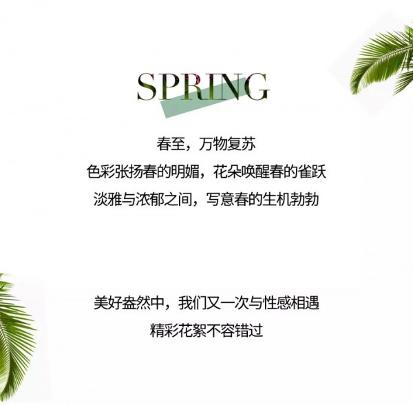 布迪设计  2020春季新品抢先看