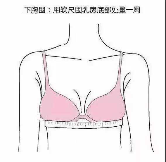 最简单的三围尺寸 你可能还没量对