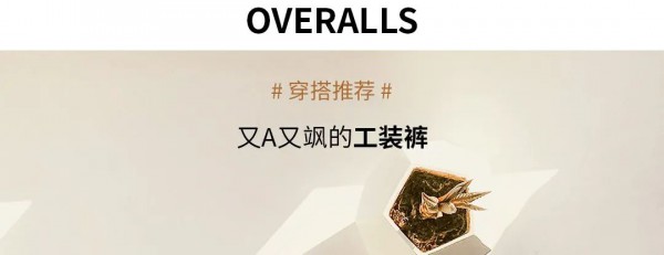 此时春日正明媚 解锁职场穿搭的魅力法则