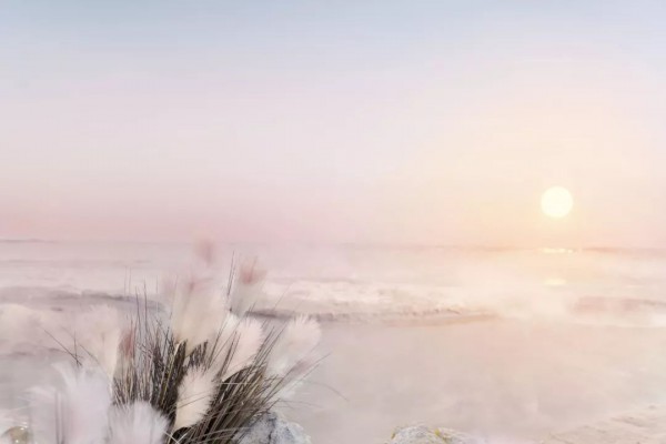 M.HITI2020春夏形象大片PREVIEW