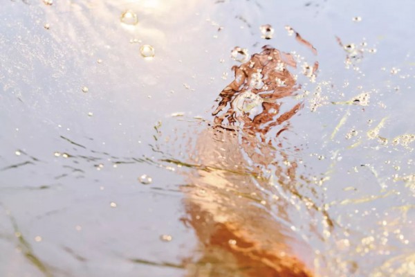 M.HITI2020春夏形象大片PREVIEW