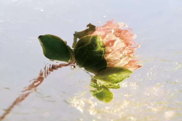 M.HITI2020春夏形象大片PREVIEW