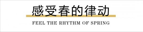外套这么多 有吉米赛欧这几件就够了