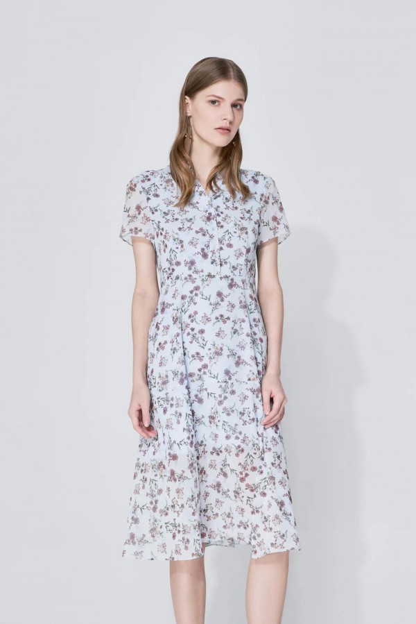 珂尼蒂思-CONATUS