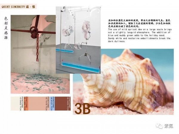 SSYK 2020 SUMMER#予见# | 新品发布会暨订货会