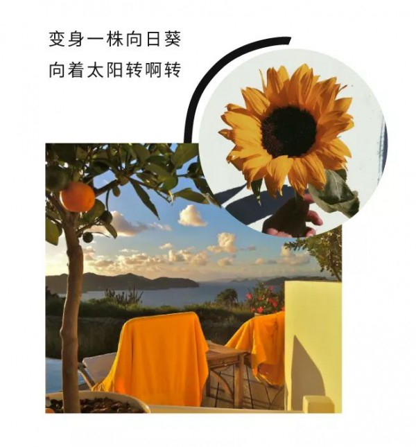 飞鸟和新酒夏装上新 穿上条纹去踏青