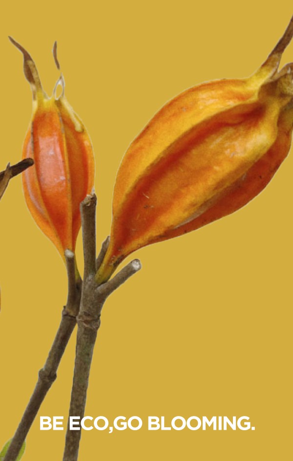 Marisfrolg2020夏季 跟随自然寻觅夏日形态