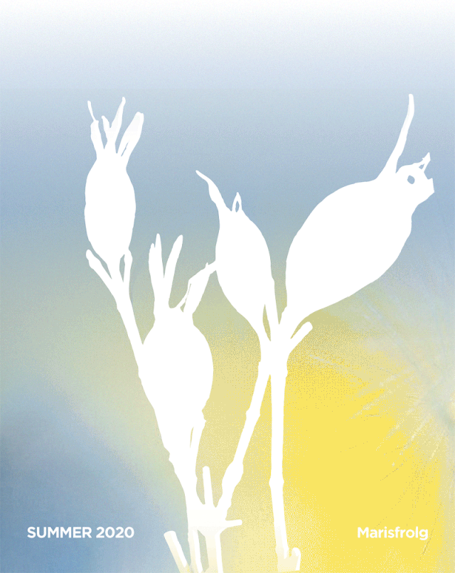 Marisfrolg2020夏季 跟随自然寻觅夏日形态