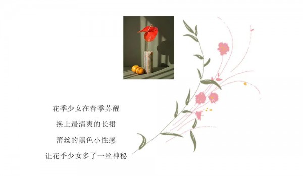 betu潮搭 飞舞的调色板Flying palette