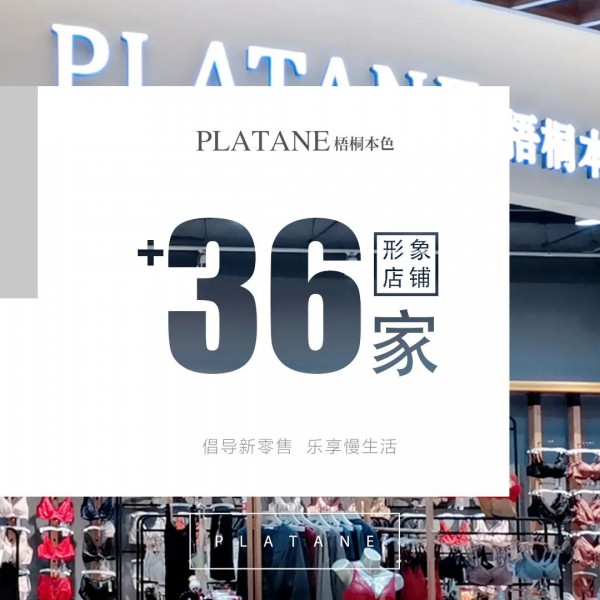 梧桐本色内衣捷报 3月强势增长36%