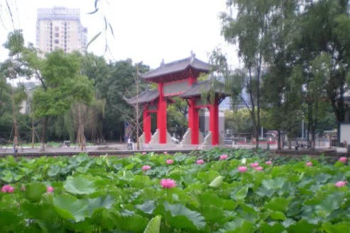 芭妃莎品牌创始人屈武杰先生拜访四川大学深圳校友会