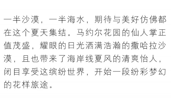 花样旅途 betu 2020 Summer Campaign