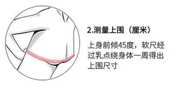 内衣私密养护知识 快来看一看