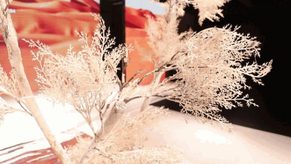 JAOBOO 2020秋季新品发布会《映▪迹》圆满落幕