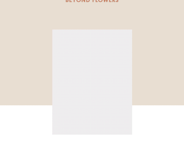 IGO&EGO 夏季新品 阳光假日美丽如期