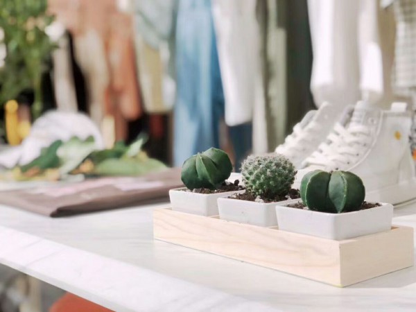 恭贺方示女装在四月7家店成功开业!预祝生意兴隆,开业大吉!