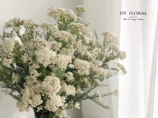 母亲节是几月几号 花木马女装宠爱妈咪新品5折起