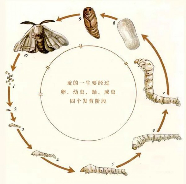 吉祥斋2020妙玲珑系列 带你回到东方丝绸的故乡