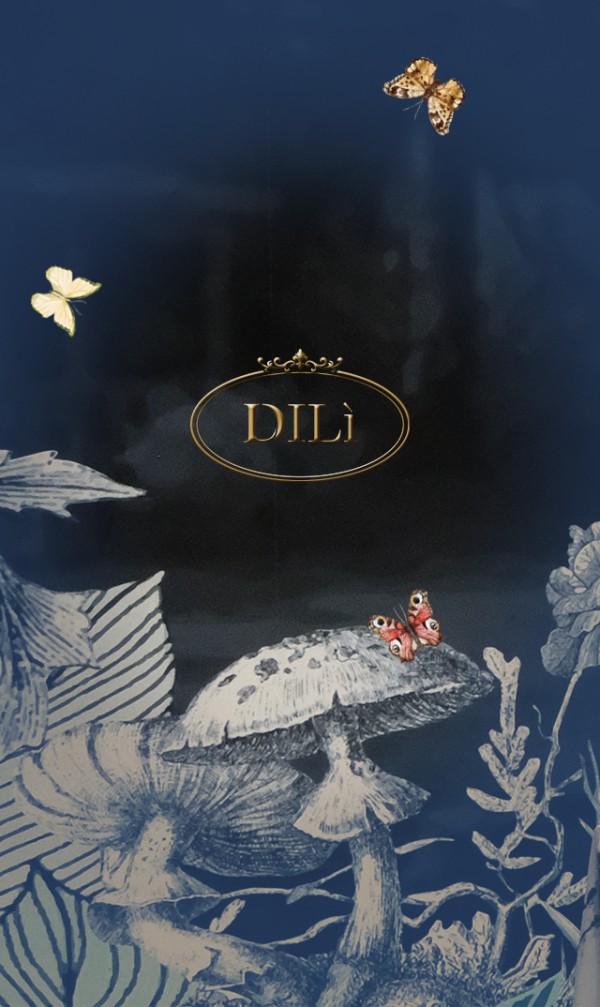 DILI-迪骊女装