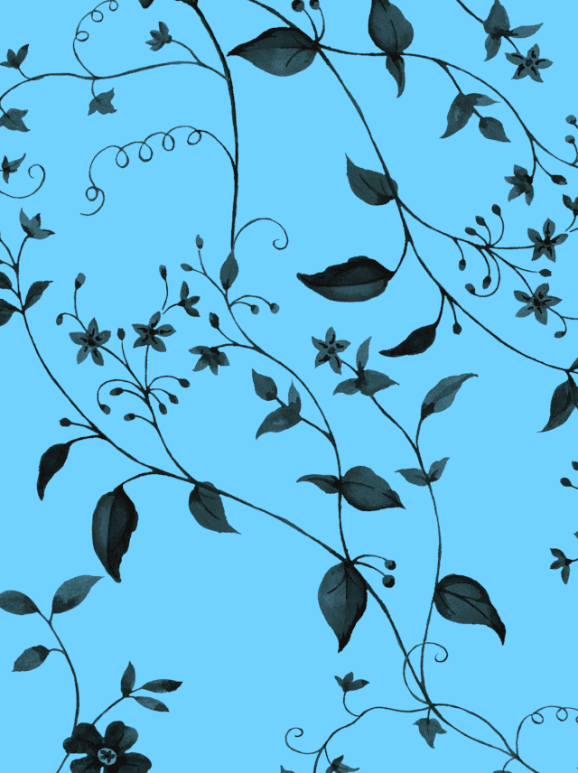 ERDOS鄂尔多斯:6月开篇需要阵阵清凉海风