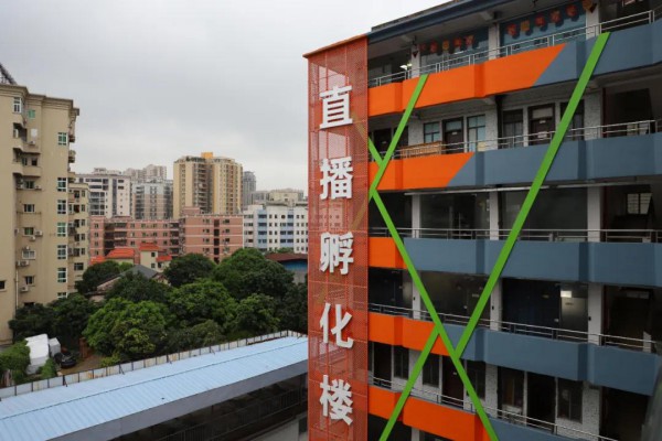 虎门多个“大码女装”品牌排名电商平台类目前列,怎么做到的?