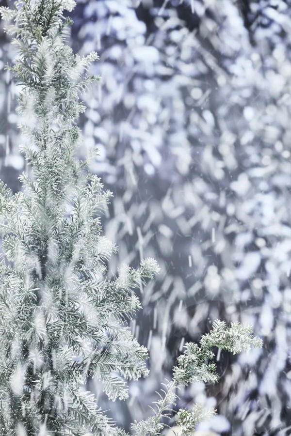 超现实异想| LESIES 2020冬新品发布会圆满落幕